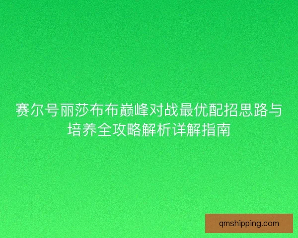 赛尔号丽莎布布巅峰对战最优配招思路与培养全攻略解析详解指南