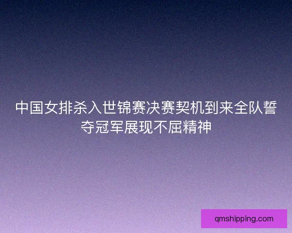 中国女排杀入世锦赛决赛契机到来全队誓夺冠军展现不屈精神